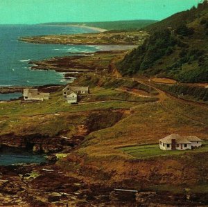 Cape Perpetua Oregon OR Birds Eye View Oregon Coast UNP Chrome Postcard