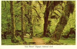 US    PC4428  RAIN FOREST OLYMPIC NATIONAL PARK