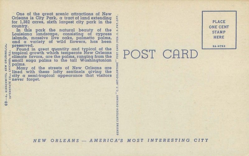 New Orleans LA Anseman Drive in City Park, Statues, Flowers Linen Postcard