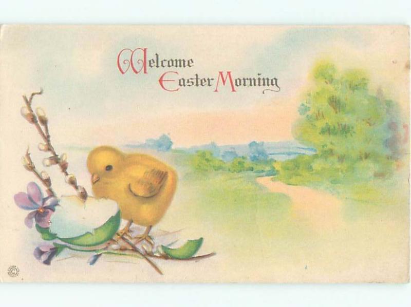 Divided-Back EASTER CHICK SCENE Cute Postcard AA0766