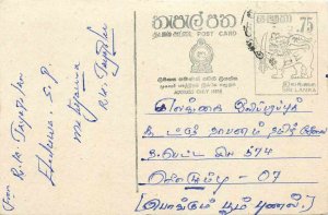 Entier Postal Stationery Postal Sri Lanka Ceylon Lion