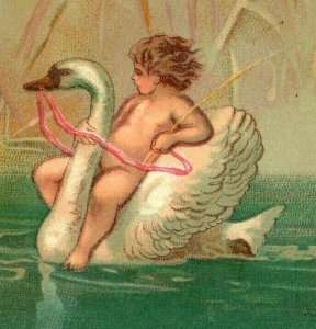 1880's Victorian Fantasy Trade Card Cherub On Swan's Back Water Lilies P173