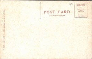 Postcard GA Savannah Grand Prize & Vanderbilt Cup Race Skidaway Road 1911 S75
