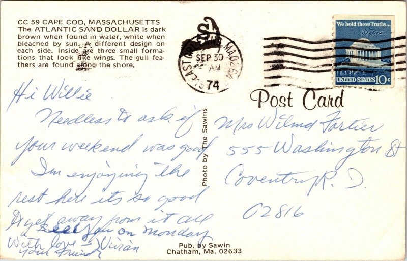 Greetings Cape Cod Massachusetts Beach Shells Atlantic Sand Dollar PM Postcard 