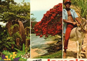 Postcard The Land of Exciting Friendly People Warm Tropical Nights Beautiful Sun