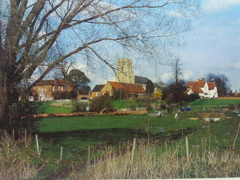 Vintage Postcard Chipping Hill Witham Essex