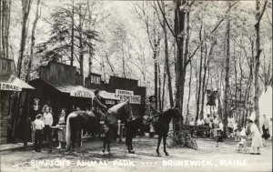 Brunswick Maine ME Simpson's Animal Park 1950s Real Photo Postcard