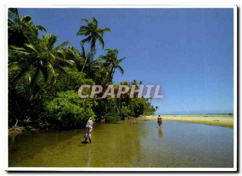 Modern Landscape Postcard the East Coast