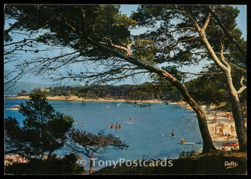 Ile de Porquerolles - La Plage d'Argent