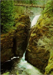 Englishman River Falls Vancouver Island BC Unused Vintage Postcard F44