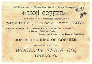 Card Trade Woolson Spice Co Coffee Lion Victorian Toledo Oh Antique Louie Shoe 