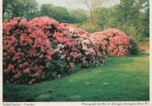 Walled Garden Cuerden Lancashire Postcard