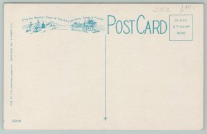 Florida~Orange Blossoms~Large Letter Vintage Postcard