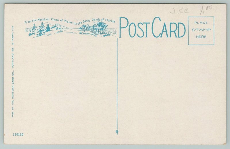 Florida~Orange Blossoms~Large Letter Vintage Postcard