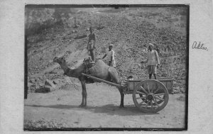 Yemen Aden Beast of Burden Camel Cart Natives Ethnic RPPC vintage postcard B909