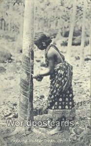 Tapping Rubber Trees Ceylon Ceylon, Sri Lanka Unused 