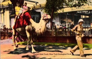 New York Zoological Park Camel Ride Track