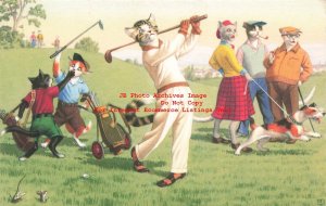Anthropomorphic Cats, Alfred Mainzer No 4883, Dressed Cats Golfing