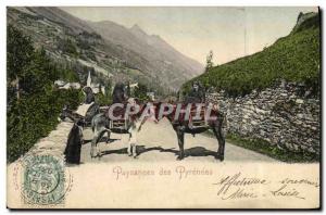 Old Postcard Peasant Pyrenean Donkey Mule