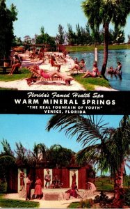 Florida Venice Warm MIneral Springs