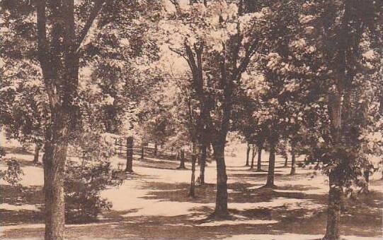 North Carolina Creensboro Front Campus North Carolina College For Women Alber...