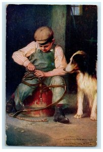 1907 Boy Fixing Leash Dog Mending The Halter Millersburg Pennsylvania Postcard 