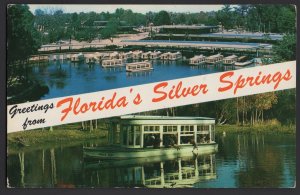 Florida SplitView SILVER SPRINGS Greeting from - near friendly Ocala ~ Chrome