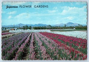 1970 Phoenix Arizona Vintage Postcard Japanese Flower Gardens Town Roseline Road