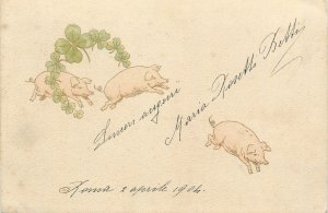 Drawn luck pigs fantasy New Year greetings postcard 1904 Italy 