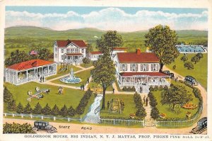 Big Indian New York Goldbrook House Casino Swimming Pool Postcard A107788