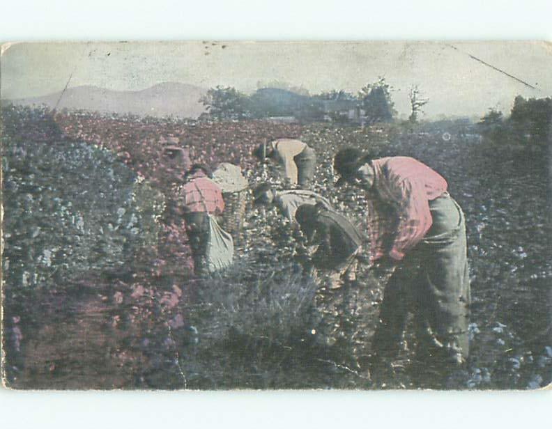 Divided-Back Black Americana WORKERS ON FARM state of Alabama W6574