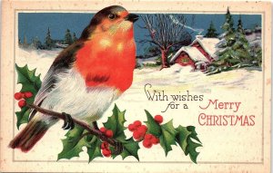 c1910 MERRY CHRISTMAS WISHES RED BRESTED BIRD SNOW SCENE POSTCARD 41-221