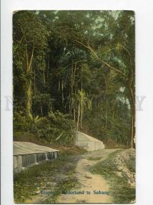 271048 INDONESIA HOLLAND INDIA SABANG Tropical Vintage PC