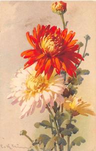 Greetings Orange White Flowers Signed Klein Antique Postcard J52499