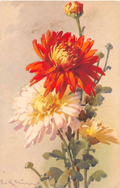 Greetings Orange White Flowers Signed Klein Antique Postcard J52499