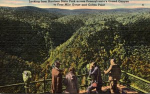 Pennsylvania Harrison State Park Looking Across Grand Canyon To Four Mile Gor...