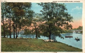 Vintage Postcard 1920 Scene in Washington Park Chicago IL Illinois