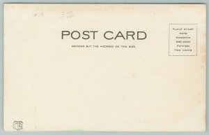 Aurora Illinois~Carnegie Public Library~E Benton Street~c1905 FP Schickler~CT