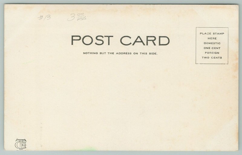 Aurora Illinois~Carnegie Public Library~E Benton Street~c1905 FP Schickler~CT