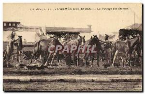Old Postcard Horse Riding Equestrian L & # 39armee Indias The grooming horses...