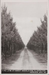 RPPC Postcard Fire Lane at Sweet Wood Pine Plantation Hancock WI