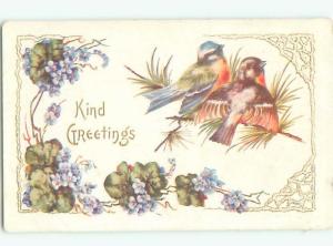 Divided-Back BIRDS SCENE Pretty Postcard AA8913