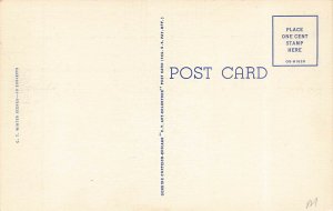 Greetings From Maine Curt Teich Linen Postcard