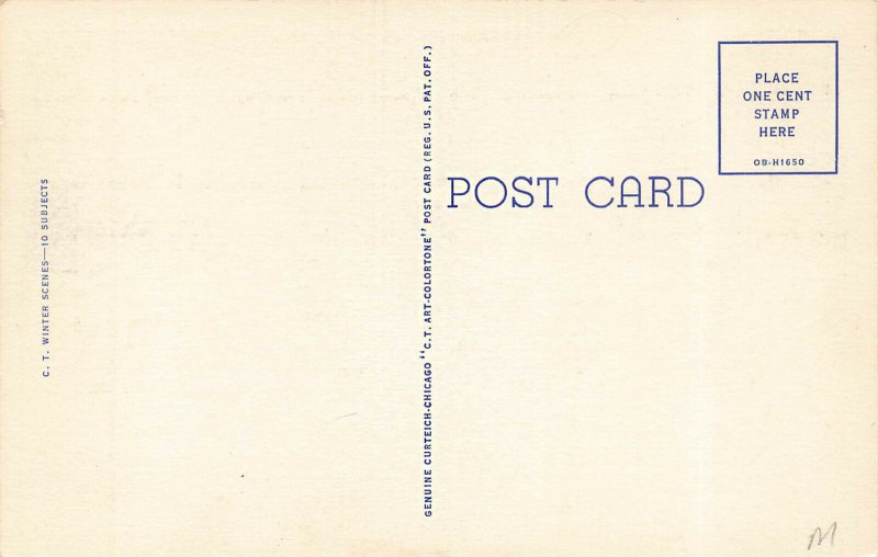 Greetings From Maine Curt Teich Linen Postcard