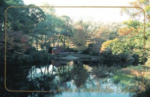 Postcard Autumn Hues Brilliant Red Blend Golden Yellow Annual Fall New England