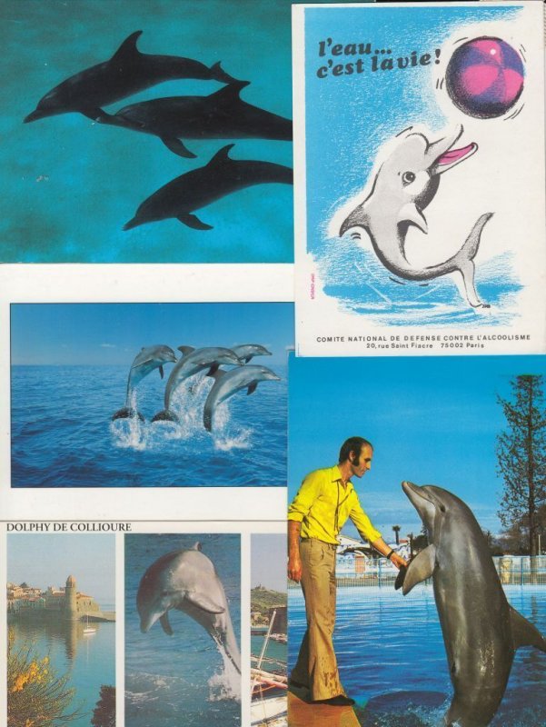 SEALIFE/DOLPHINS 44 Vintage ANIMALS Postcards pre-1970 (L3618)