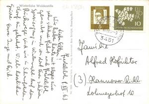 BG15984 winterliche waldesstille    germany  CPSM 14.5x9cm