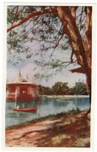 Taiwan 1956 Unused Postcard Taichung Park Boat Lake