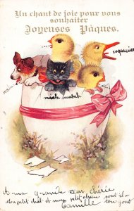 Easter Greetings Humanized Chicks Dog Cat in Egg vintage postcard  B924