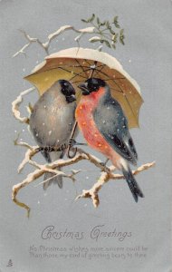 Christmas Greetings Humanized Songbirds Umbrella Anthropomorphic postcard B921